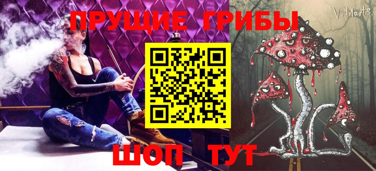Псилоцибиновые грибы Psilocybine cubensis Рыбинск